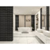 LP75309-2