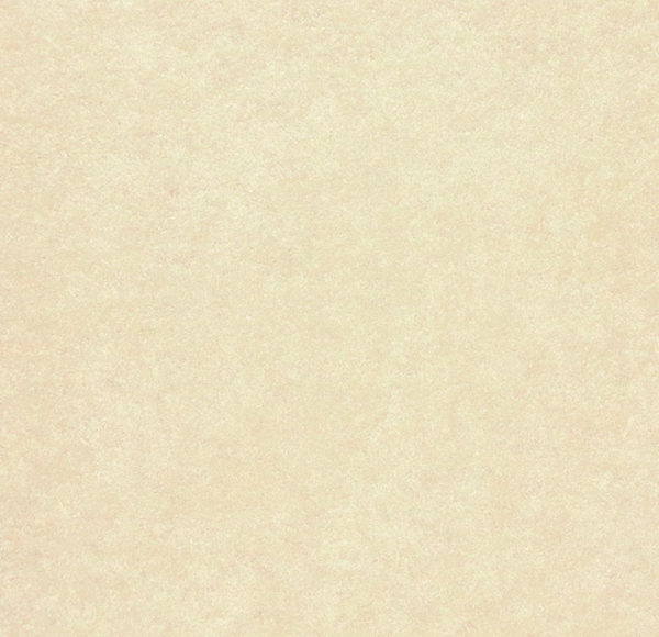 E6V061