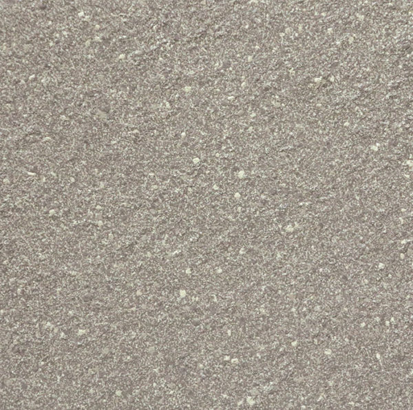 L1003E