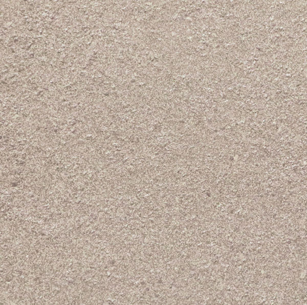 L1005D