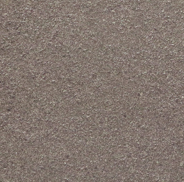 L1006F