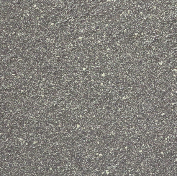 L1007F
