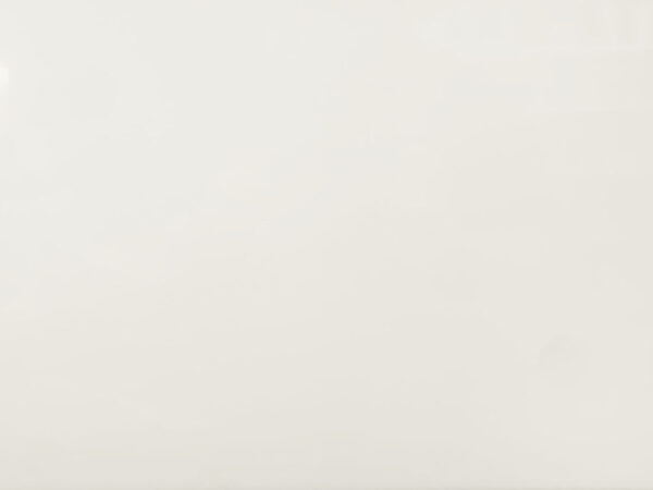 PL1301H
